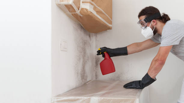 Professional Mold Remediation technician working in Old Westbury, NY